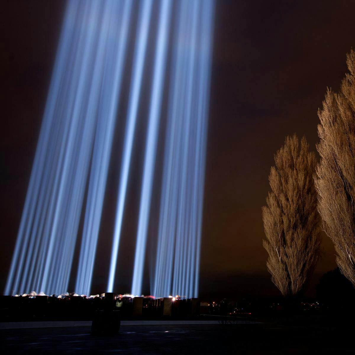 'spectra' from up close with trees next to it at the Cenotaph.