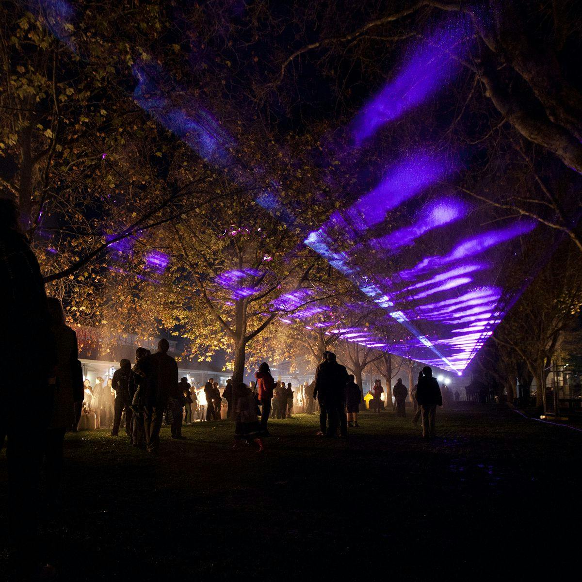 People gathered around trees with beams of purples light cutting through the branches and leaves.