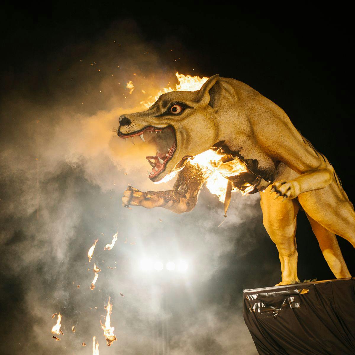 A large Tasmanian Tiger Ogoh-Ogoh sculpture begins to burn, smoke and flames escaping from its body.