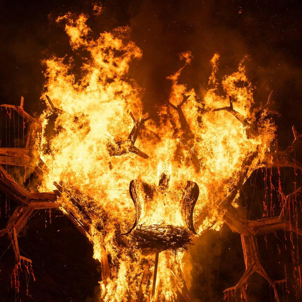 A large eagle and tree Ogoh-Ogoh sculpture burn, engulfed in bright orange flames.